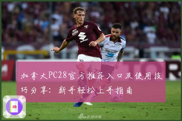 加拿大PC28官方推荐入口及使用技巧分享：新手轻松上手指南