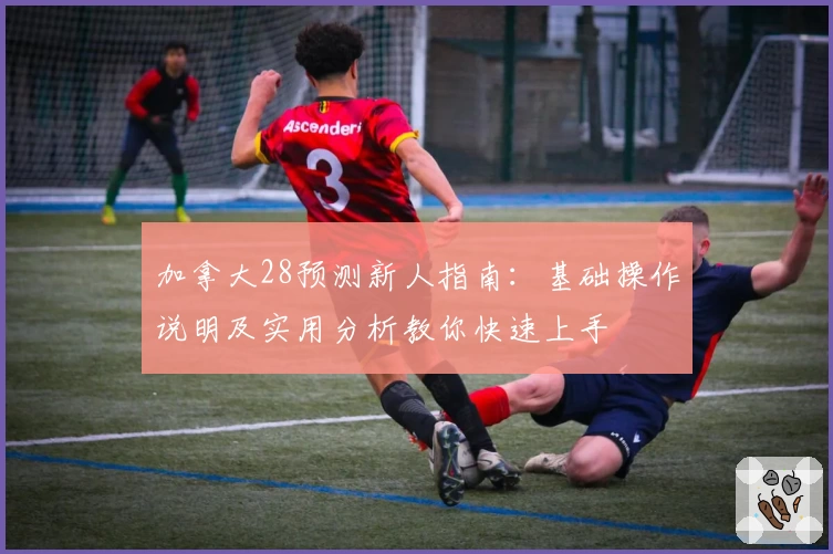 加拿大28预测新人指南：基础操作说明及实用分析教你快速上手