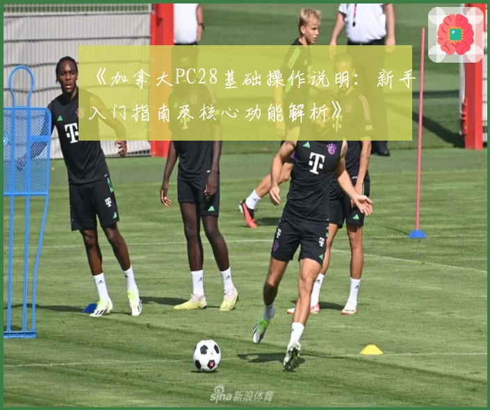 《加拿大PC28基础操作说明：新手入门指南及核心功能解析》