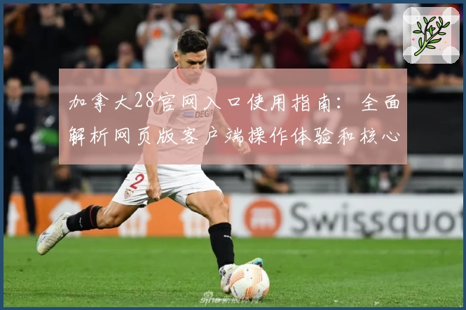 加拿大28官网入口使用指南:全面解析网页版客户端操作体验和核心功能亮点