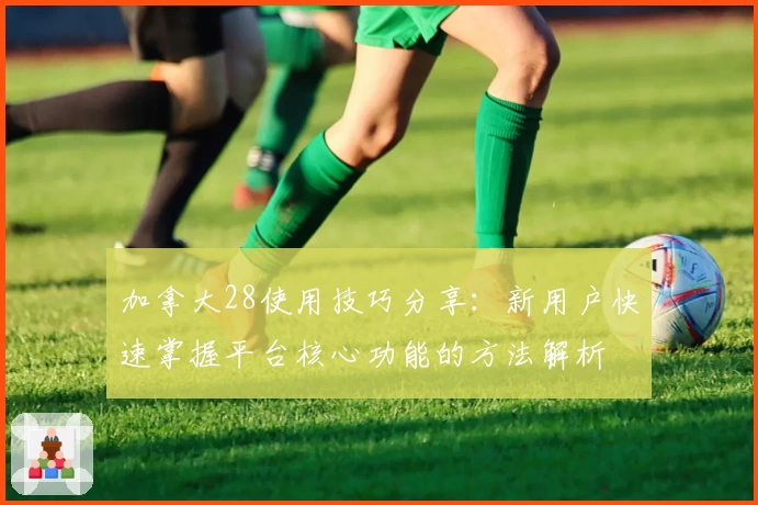 加拿大28使用技巧分享：新用户快速掌握平台核心功能的方法解析