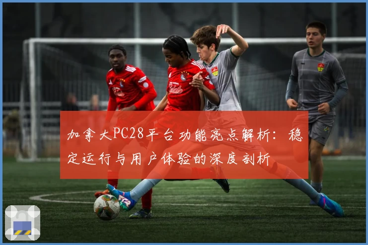 加拿大PC28平台功能亮点解析：稳定运行与用户体验的深度剖析