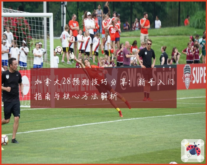 加拿大28预测技巧分享：新手入门指南与核心方法解析