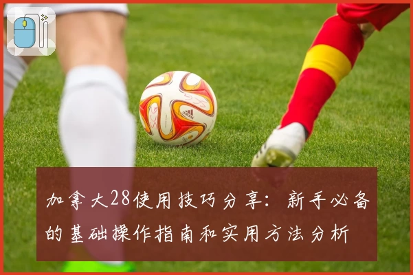 加拿大28使用技巧分享：新手必备的基础操作指南和实用方法分析