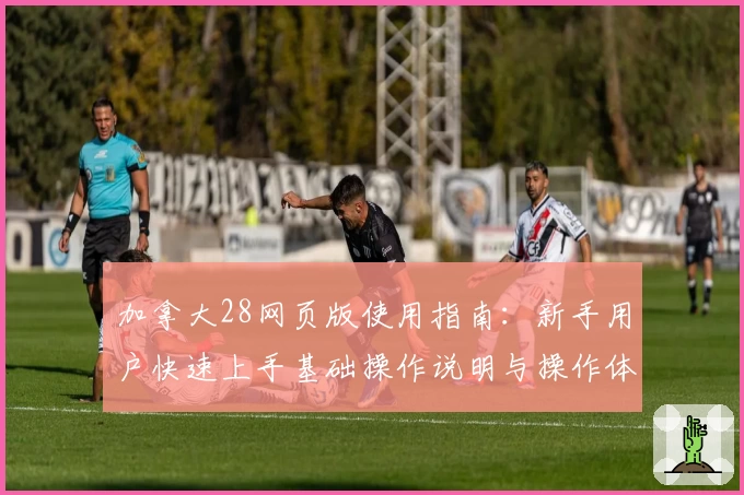 加拿大28网页版使用指南：新手用户快速上手基础操作说明与操作体验解析
