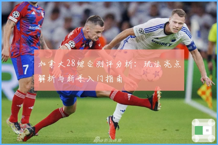 加拿大28综合测评分析：玩法亮点解析与新手入门指南