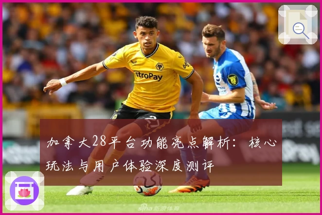 加拿大28平台功能亮点解析：核心玩法与用户体验深度测评