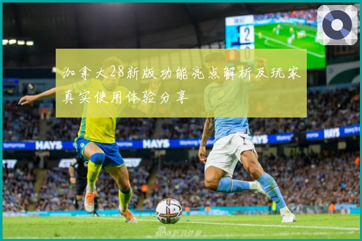 加拿大28新版功能亮点解析及玩家真实使用体验分享