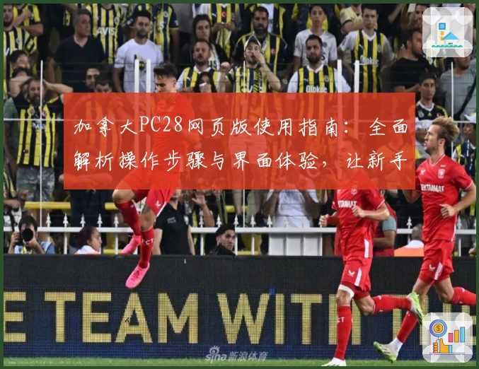 加拿大PC28网页版使用指南：全面解析操作步骤与界面体验，让新手快速上手