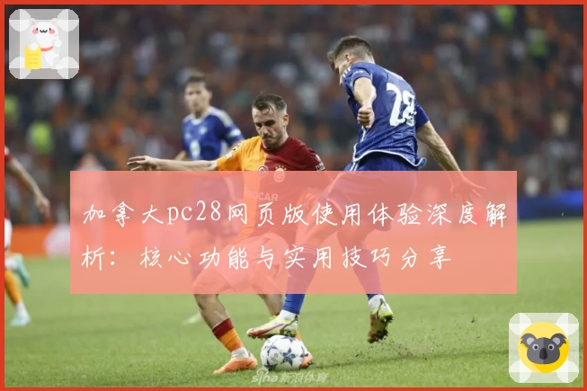 加拿大pc28网页版使用体验深度解析：核心功能与实用技巧分享