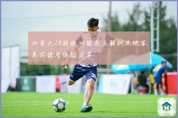 加拿大28新版功能亮点解析及玩家真实使用体验分享