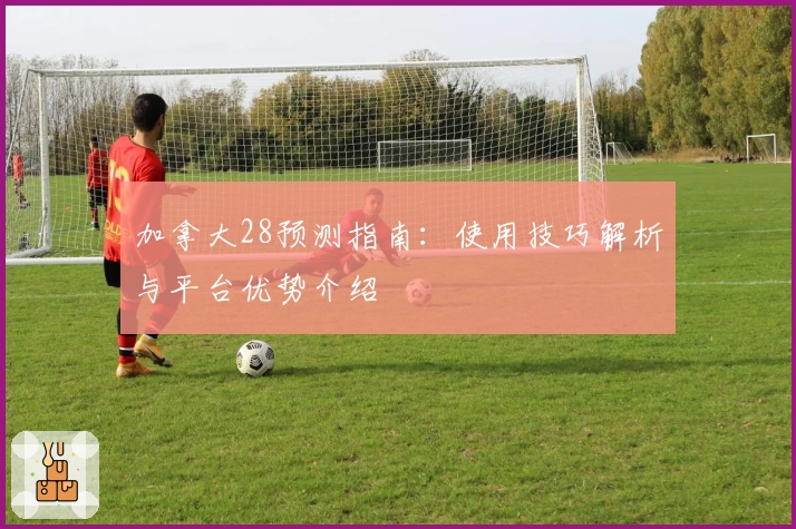 加拿大28预测指南：使用技巧解析与平台优势介绍